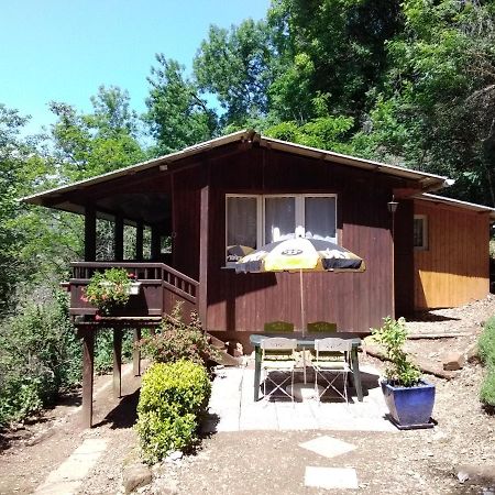 Chalet Vintage Pollieu 외부 사진